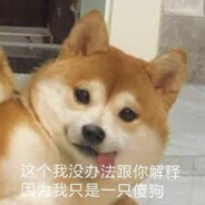 MrDoge