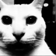 CatComms
