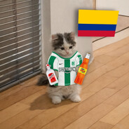 El Romihack ( ͡° 3 ͡°)