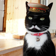 meow stalin