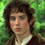 Frodo der Hobbit