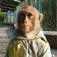 Дикая бебра