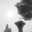 HVN77