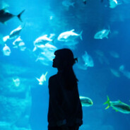 轮椅哥手摇轮椅