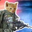 CombatantCat