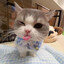 Dimpy