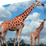 emo都是装的，哥充满爱