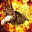 что за сигма's avatar