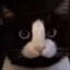 BEEMO