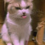 Mr_Doiz