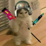 bob_bob