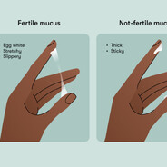Cervical mucus
