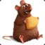 rat