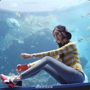 你凭什么世界冠军