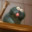 Ratatouille PDFs