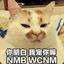 我宠你嘛