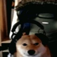 Top d0GE