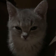 ki - steam id 76561199532532605