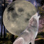 Howling Pup (on YouTube)