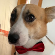 泼水摸奖怎么说