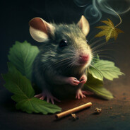 Gashmice - steam id 76561199094391676