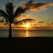 月月丛丛灵长士