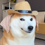 Schouwige