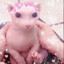 Squishiee