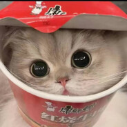 练不会枪不改名