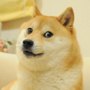 aligator1356 - steam id 76561198802095389