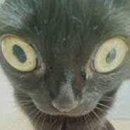 Kaze - steam id 76561198272615456