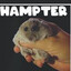 HAMPTER