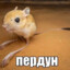 masha_genshin69