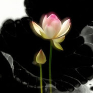 等会让我打个大电