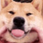 Vrz