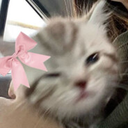 ⊹ ˖๋࣭ Cotecita𓂃ཐི|