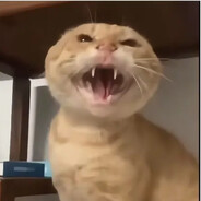 帝国絶凶の猛虎!圆头耄