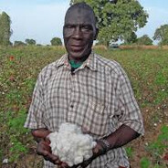Cotton Farmer