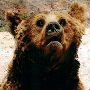 Rzyxr avatar