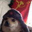 Comrade Doggo