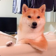 ♛DaHuangIsGod♛ᶠᵘᶜᵏ