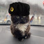 советский Чмоня