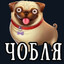 привет я ярик привет's avatar