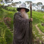 Gandalf the Grey