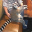 TheLivingLeg