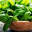 Basil