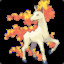 Rapidash