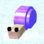 shelly