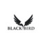 Blackbird_Plays