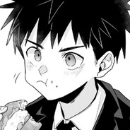 男高中生的主人